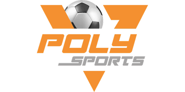 পল কালার logo